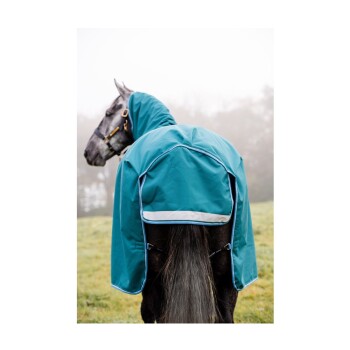 Ein graues Pferd, das eine wasserfeste Decke in Teal mit Kapuze trägt, steht auf einem nebligen Feld und zeigt seinen schlanken Schwanz und Halfter.