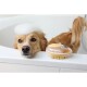 Ein Hundebadeprodukt steht am Rand einer Badewanne, mit einem golden Retriever, der im Hintergrund teilweise sichtbar ist.