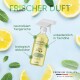 Flasche von Pawlies Tiergeruchs- und Fleckenentferner auf einem Hintergrund aus Zitrone und Minze; hebt biologisch abbaubare, tierfreundliche und geruchsneutralisierende Eigenschaften hervor.