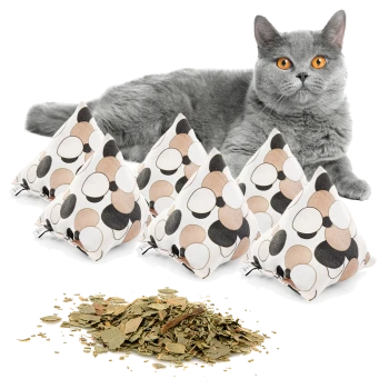 Eine graue Katze mit leuchtend orangefarbenen Augen sitzt neben fünf dreieckigen Katzenminze-Spielzeugen mit einem gepunkteten Design und einem Haufen getrockneter Katzenminzblätter.