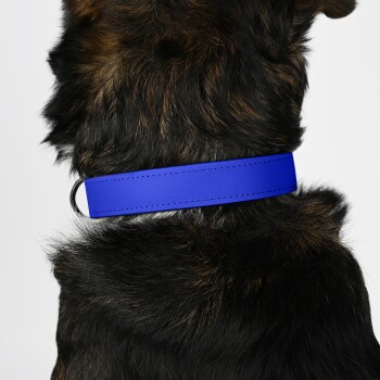 Eine Nahaufnahme des Halses eines Hundes mit einem leuchtend blauen Halsband, wobei das dunkle Fell des Hundes sichtbar ist.