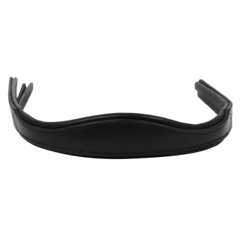 Schwarzes Leder-Haustierhalsband mit einem glatten, gepolsterten Design, mit verstellbaren Riemen für Komfort.