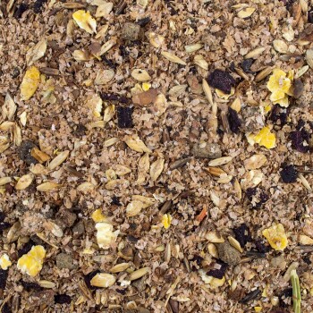 Nahaufnahme einer Mischung aus Tierfutterzutaten, einschließlich Getreide, Samen und kleinen bunten Stückchen, die eine natürliche Mischung darstellen.