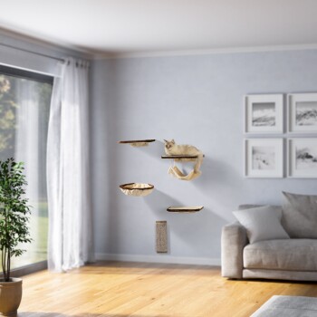Eine flauschige weiße Katze liegt auf einem wandmontierten Regal, umgeben von zusätzlichen Regalen und einem Kratzbaum in einem modernen Wohnzimmer.