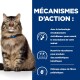Un chat tabby brun duveteux avec un collier bleu est assis devant un fond bleu présentant un texte sur la technologie ActivBiome+ pour la santé des animaux.