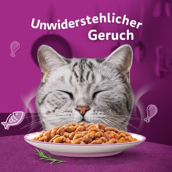 Eine zufriedene Katze mit geschlossenen Augen genießt einen Teller mit Futter, mit dem Text 'Unwiderstehlicher Geruch' darüber, vor einem lila Hintergrund.