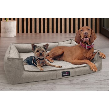 Zwei Hunde, ein kleiner Yorkshire Terrier und ein großer brauner Hund mit rotem Halsband, liegen auf einem grauen Tierlando-Haustierbett.