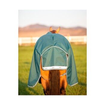 Ein braunes Pferd, das eine grüne Pferde-Decke trägt, steht auf einer grasbewachsenen Fläche, mit Bergen im Hintergrund und der Sonne, die untergeht.