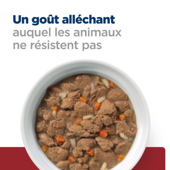 Bol de nourriture pour animaux de compagnie avec des morceaux de viande et de légumes, avec le texte : "Un goût alléchant auquel les animaux ne résistent pas."