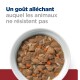 Bol de nourriture pour animaux de compagnie avec des morceaux de viande et de légumes, avec le texte : "Un goût alléchant auquel les animaux ne résistent pas."
