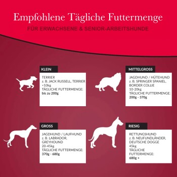 Infografik, die empfohlene tägliche Futtermengen für erwachsene und ältere Arbeitshunde detailliert, kategorisiert nach Größe: kleine, mittlere, große und riesige Rassen.