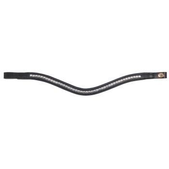 Schwarzes Leder-Halsband für Haustiere, verziert mit silbernen Nieten, mit einem kleinen Logo-Anhänger an einem Ende.