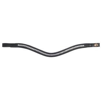 Schwarzes Leder-Halsband für Haustiere, verziert mit silbernen Nieten, mit einem kleinen Logo-Anhänger an einem Ende.
