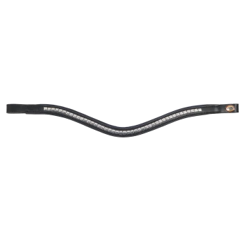 Schwarzes Leder-Halsband für Haustiere, verziert mit silbernen Nieten, mit einem kleinen Logo-Anhänger an einem Ende.