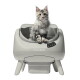 Langhaarige grau-getigerte Katze sitzt in einer weißen automatischen Katzentoilette mit Aufschrift CATLINK, zeigt Symbole des Bedienfelds