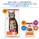 Nourriture pour chats Hill's Science Plan : sac sec avec chat tigré et sachet humide étiqueté 'Premium Chunks in Sauce', Poulet, Adultes 1–6