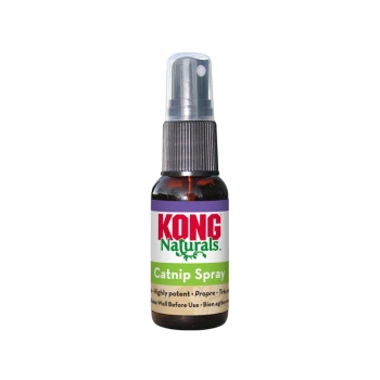 Spray KONG Naturals Catnip dans un flacon brun avec un capuchon transparent et une étiquette verte indiquant « Catnip Spray ».