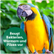 Ein lebendiger blauer und gelber Ara sitzt vor einem grünen Hintergrund, mit dem Text 'Beugt Bakterien, Würmern und Pilzen vor.'
