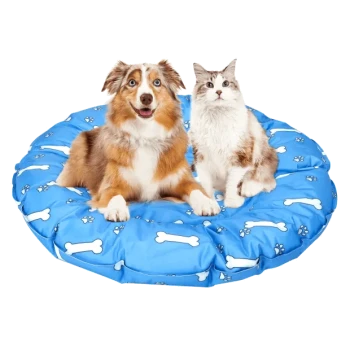 Ein Hund und eine Katze sitzen zusammen auf einem runden blauen Haustierbett, das mit weißen Knochen und Pfotenabdrücken dekoriert ist.