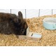 Un lapin brun renifle un jouet en bois dans un enclos pour animaux de compagnie rempli de copeaux de bois, à côté d'un bol d'eau bleu clair.