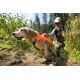 Eine Person in Outdoor-Bekleidung hilft einem nassen Hund mit einem orangefarbenen Geschirr, während sie aus einem Flussufer auftauchen, umgeben von Grün.