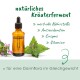 Kräuterferment in einer Tropfflasche, umgeben von grünen Blättern und Blumen, das Nährstoffe und Vitamine für die Darmgesundheit hervorhebt.
