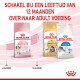 Royal Canin-zakken: Kitten, Maine Coon, Indoor 27. Nederlandse tekst: 'Schakel bij 12 maanden over naar adult voeding'.