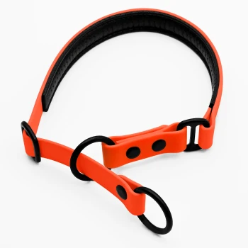 Zugstopp Halsband Orange XS Helle orangefarbene Haustierhalsband mit schwarzen Akzenten und verstellbaren Funktionen, vor einem weißen Hintergrund präsentiert.