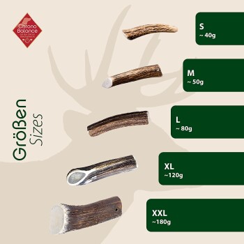 Bild, das verschiedene Größen von Hundekau-Sticks zeigt, beschriftet mit S, M, L, XL und XXL mit entsprechenden Gewichten in Gramm.