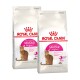 Savour Exigent Croquettes Chat 2x10 kg