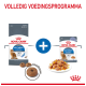 Royal Canin Light Weight kattenvoer verpakking met droge brokjes en natvoer op een bord, met de tekst 'Volledig Voedingsprogramma'.