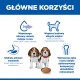 Dwa szczeniaki beagle przy misce z krokietami, otoczone ikonami i polskim nagłówkiem 'GŁÓWNE KORZYŚCI' wymieniającym korzyści dla mózgu, mięśni, trawienia i zębów