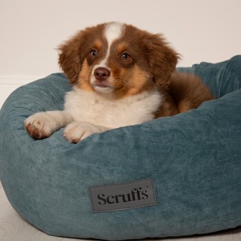 Hundebett OSLO grün XL