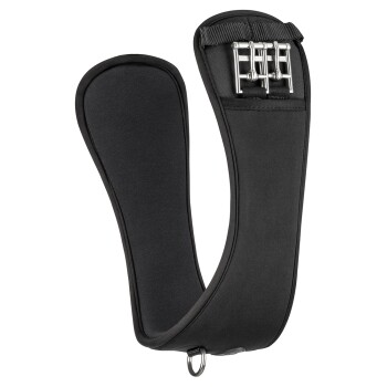 Schwarzes Haustiergeschirr mit gepolstertem Design, mit verstellbaren Riemen und einem Metall-D-Ring zur Leinenbefestigung.