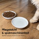 Eine Siamkatze trinkt aus einer weißen Melamin-Schüssel neben Trockenfutter auf einem Platzdeckchen. Text: "Hochwertig, lebensmittelecht, hergestellt in Deutschland."