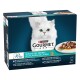 Weißer flauschiger Kater auf blauem Hintergrund mit einer Packung Purina Gourmet Katzenfutter, mit Meeresfrüchten und Garnelengeschmack, 12x85g.