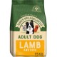 Bag of James Wellbeloved Adult Dog food, featuring lamb and rice, 15kg, with images of a Border Collie, Dalmatian, and Golden Retriever.