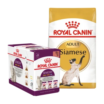 Emballage de nourriture pour chat Siamois Royal Canin, avec un sac étiqueté "Siamois Adulte" et une boîte de sachets "Sensoriel" avec une image de chat.
