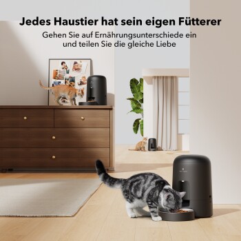 Eine graue getigerte Katze frisst aus einem schwarzen Futterspender in einem gemütlichen Raum, mit einer roten Katze im Hintergrund. Text: "Jedes Haustier hat seinen eigenen Futterspender..."