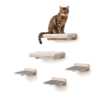 Braun getigerte Katze auf hölzernen, an der Wand montierten Regalen mit beigefarbenen Kissen und grauen Teppichpolstern, weißer Hintergrund.