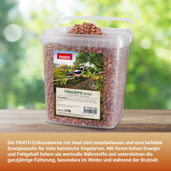 Transparente Plastikdose 3,0 kg Erdnüsse für Vögel (PANTO) mit Aufschrift 'Erdnusskerne mit Haut' und Vogelbild auf dem Etikett.