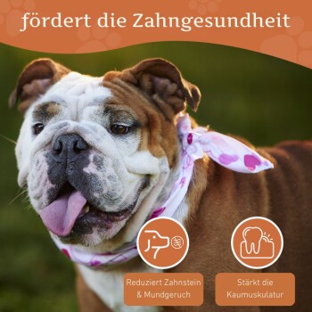 Hergestellt aus 100% unbehandeltem Wurzelholz, mit Symbolen für keine Konservierungsstoffe, Duftstoffe oder Farbstoffe.