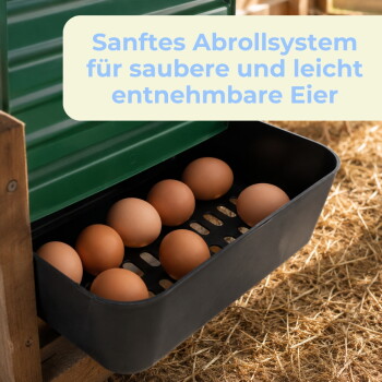 Schwarzes Fach mit braunen Eiern in einer grünen Kiste auf Stroh; sichtbarer Text: 'Sanftes Abrollsystem für saubere und leicht entnehmbare Eier'