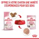 Image de la nourriture pour chaton Royal Canin : sac de croquettes rose, bol rouge, sachet de nourriture humide, et texte promouvant les expériences sensorielles pour les chatons.