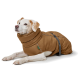 Ein weißer Hund mit hellbraunen Flecken, der einen braunen gepolsterten Wintermantel trägt, liegt mit einem entspannten Ausdruck.