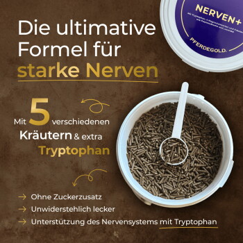 Geöffnete Dose mit braunen Pellets und Messlöffel; deutscher Text ‚starke Nerven‘ und ‚5 Kräuter & Tryptophan‘.