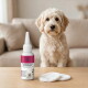 Pluizige kleine hond achter een fles met het etiket "TRÄNENFLECK ENTFERNER" (traanvlekverwijderaar, Take Care) en twee wattenpads op tafel.