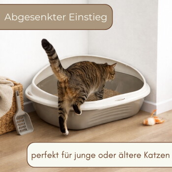 Getigerte Katze steigt in eine beige Katzentoilette mit abgesenktem Einstieg; Text: 'Abgesenkter Einstieg' und 'perfekt für junge oder ältere Katzen'.