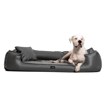 Ein elegantes schwarzes Hundebett mit einem weichen Kissen und einem kleinen Kissen, mit einem entspannten Hund, der darauf liegt.