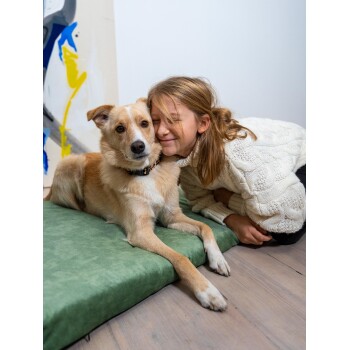 Ein Kind in einem gemütlichen weißen Pullover lehnt sich nah an einen tanfarbenen Hund, der auf einem grünen Hundebett ruht, und schafft eine warme, liebevolle Szene.